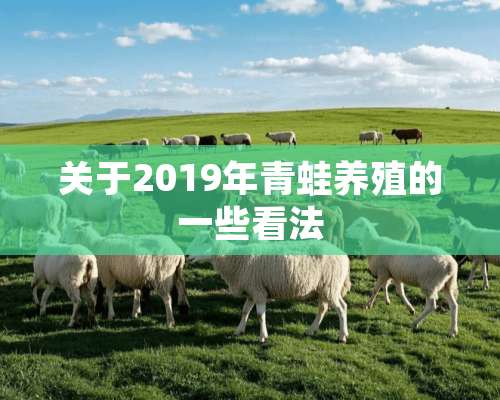 关于2019年青蛙养殖的一些看法