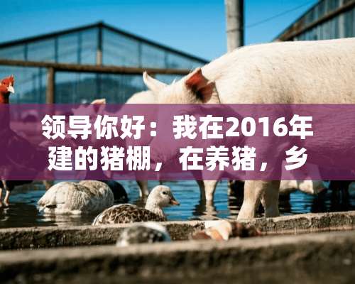 领导你好：我在2016年建的猪棚，在养猪，乡镇说我没有一切手续要拆棚，这叫违建，村里开的证明没章？