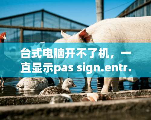 台式电脑开不了机，一直显示pas sign.entr.怎么办？