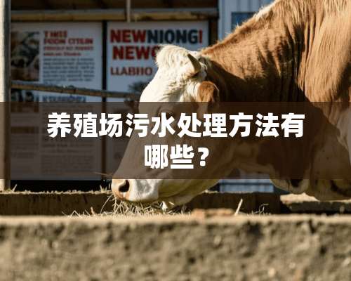 养殖场污水处理方法有哪些？