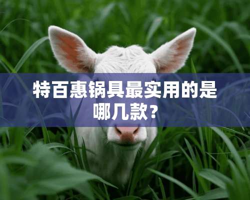 特百惠锅具最实用的是哪几款？