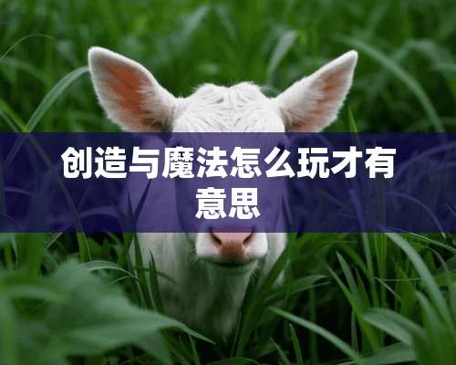 创造与魔法怎么玩才有意思