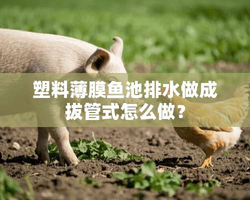 塑料薄膜鱼池排水做成拔管式怎么做？