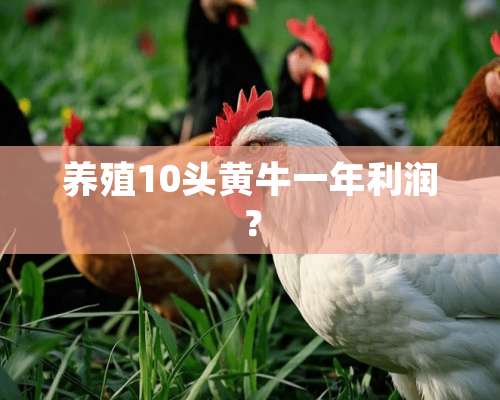 养殖10头黄牛一年利润？