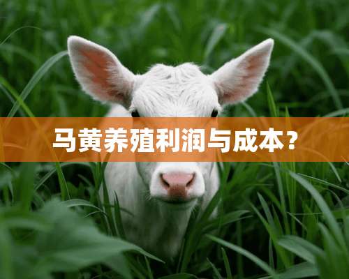 马黄养殖利润与成本？