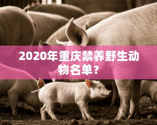 2020年重庆禁养野生动物名单？