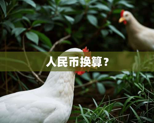 人民币换算？