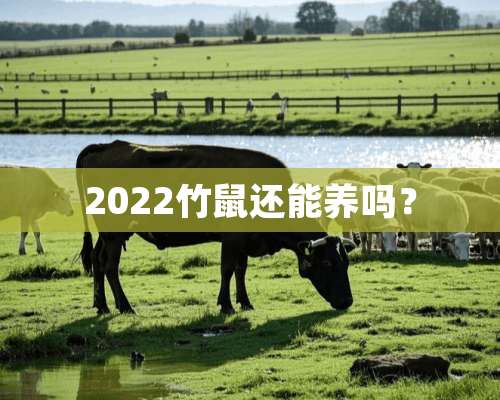 2022竹鼠还能养吗？