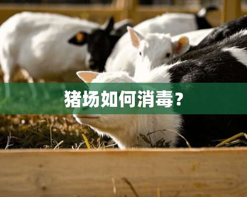 猪场如何消毒？