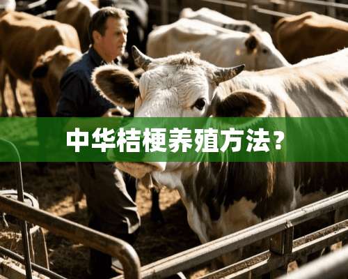 中华桔梗养殖方法？