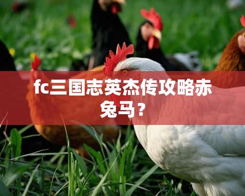 fc三国志英杰传攻略赤兔马？