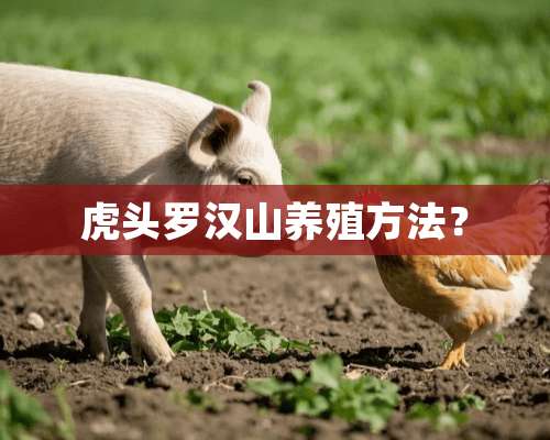 虎头罗汉山养殖方法？