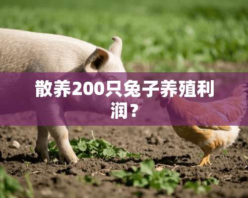 散养200只兔子养殖利润？