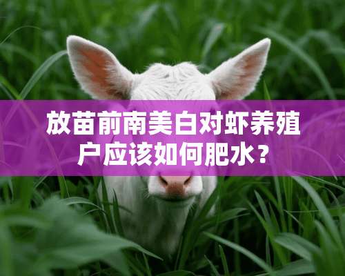 放苗前南美白对虾养殖户应该如何肥水？