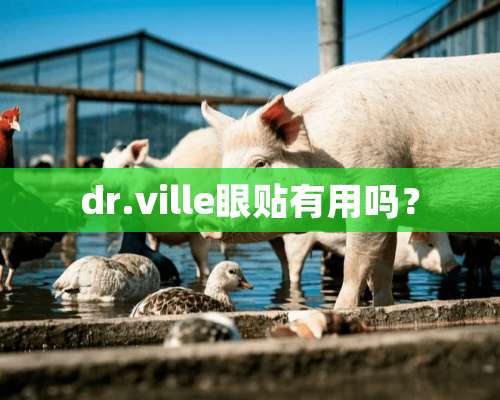 dr.ville眼贴有用吗？