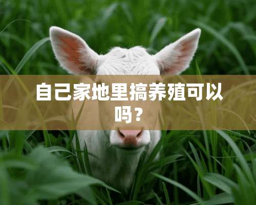 自己家地里搞养殖可以吗？