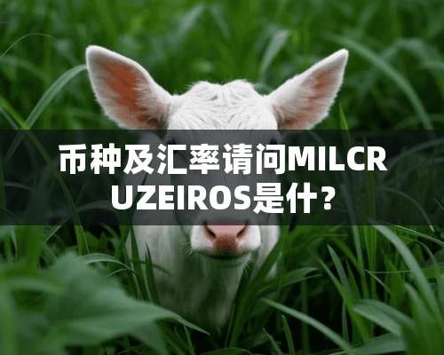 币种及汇率请问MILCRUZEIROS是什？