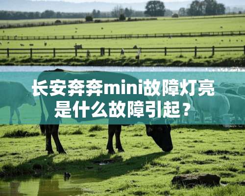 长安奔奔mini故障灯亮是什么故障引起？