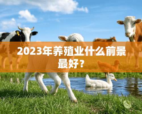 2023年养殖业什么前景最好？