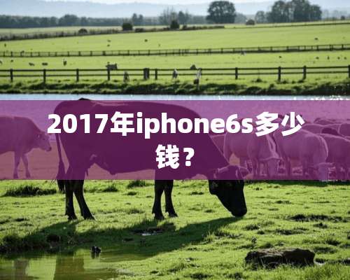 2017年iphone6s多少钱？