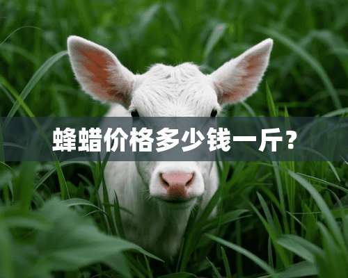 蜂蜡价格多少钱一斤？