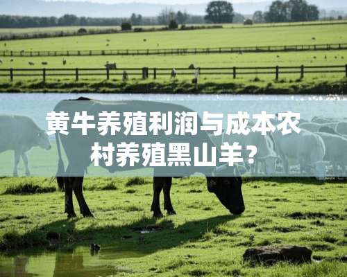 黄牛养殖利润与成本农村养殖黑山羊？