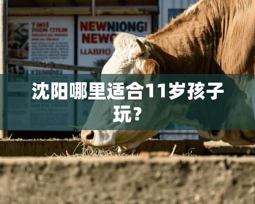 沈阳哪里适合11岁孩子玩？