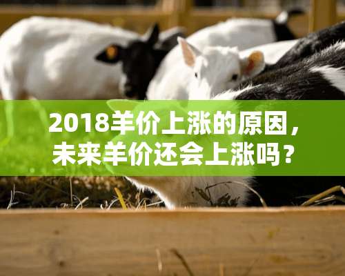 2018羊价上涨的原因，未来羊价还会上涨吗？