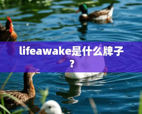 lifeawake是什么牌子？