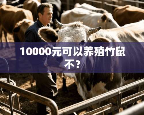 10000元可以养殖竹鼠不？