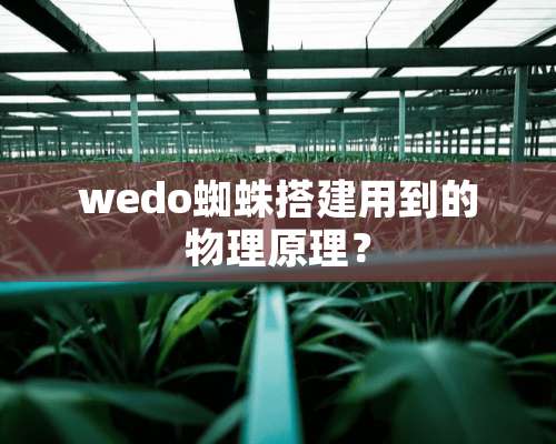 wedo蜘蛛搭建用到的物理原理？