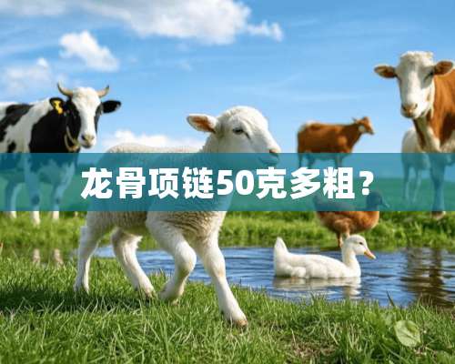 龙骨项链50克多粗？