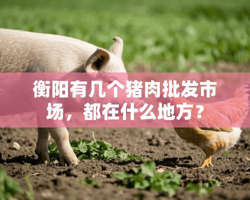 衡阳有几个猪肉批发市场，都在什么地方？