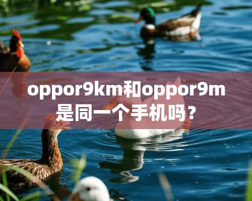 oppor9km和oppor9m是同一个手机吗？