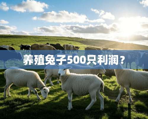 养殖兔子500只利润？