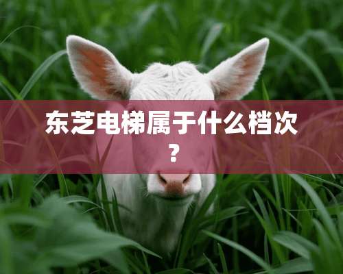 东芝电梯属于什么档次？