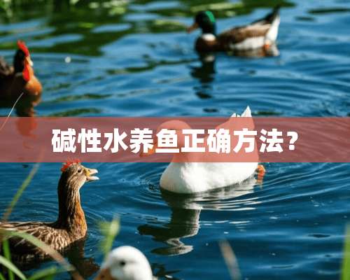 碱性水养鱼正确方法？