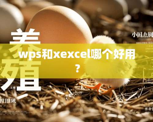 wps和xexcel哪个好用？