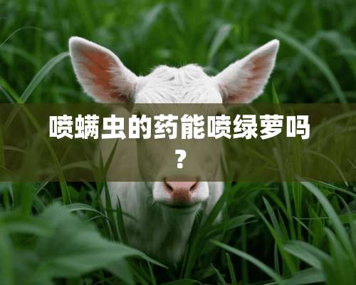 喷螨虫的药能喷绿萝吗？