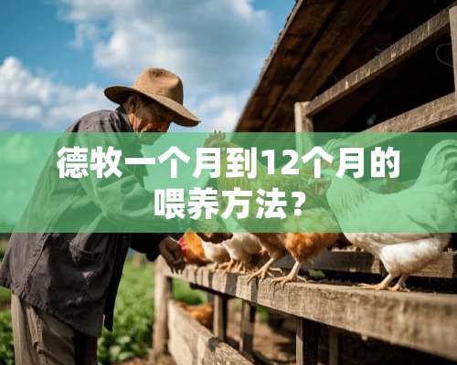 德牧一个月到12个月的喂养方法？