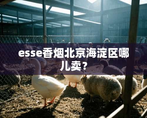 esse香烟北京海淀区哪儿卖？