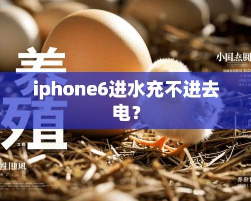 iphone6进水充不进去电？