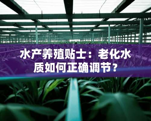 水产养殖贴士：老化水质如何正确调节？