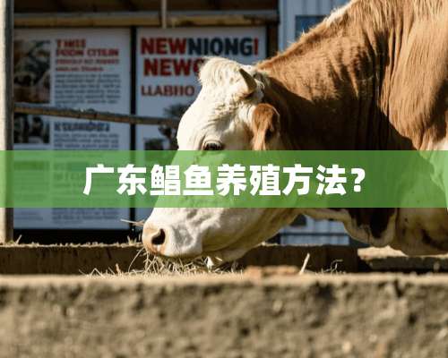 广东鲳鱼养殖方法？