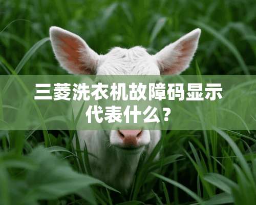 三菱洗衣机故障码显示代表什么？