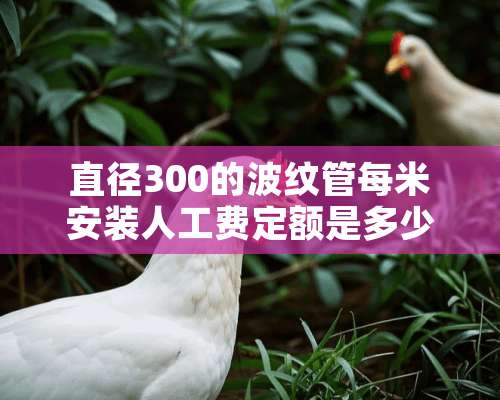 直径300的波纹管每米安装人工费定额是多少？