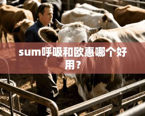 sum呼吸和欧惠哪个好用？