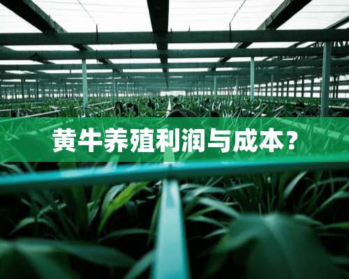 黄牛养殖利润与成本？