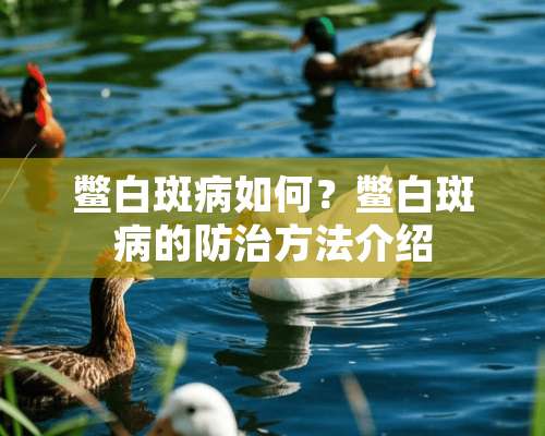 鳖白斑病如何？鳖白斑病的防治方法介绍