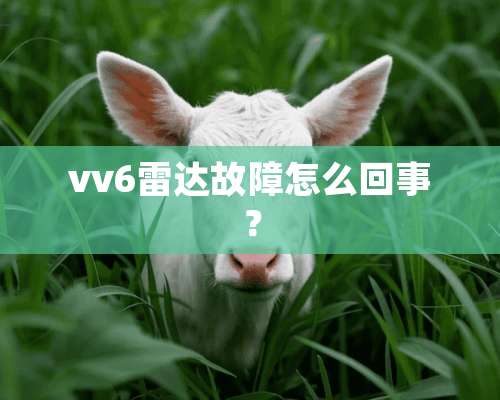 vv6雷达故障怎么回事？